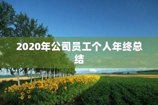 2020年公司员工个人年终总结 2020年公司员工个人年终总结