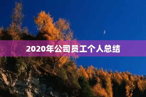 2020年公司员工个人总结