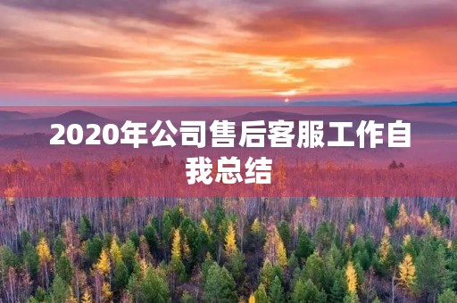 2020年公司售后客服工作自我总结