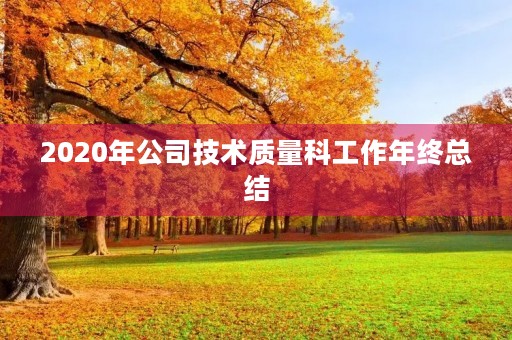 2020年公司技术质量科工作年终总结