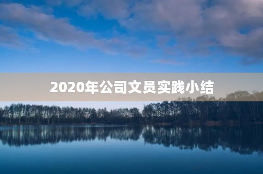 2020年公司文员实践小结