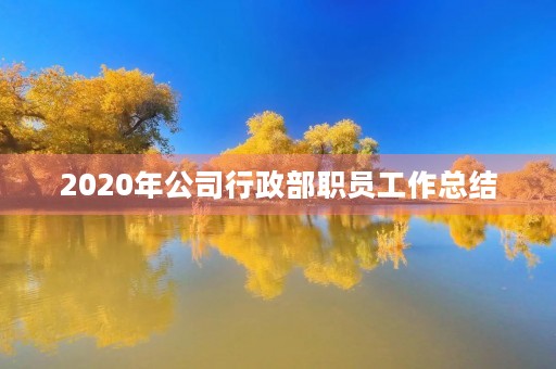 2020年公司行政部职员工作总结