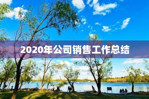 2020年公司销售工作总结 2020年公司销售工作总结
