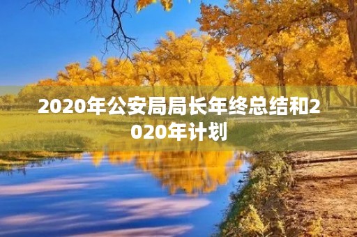 2020年公安局局长年终总结和2020年计划