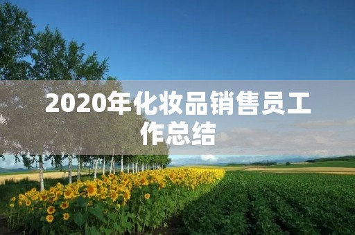 2020年化妆品销售员工作总结