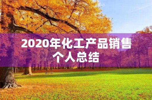 2020年化工产品销售个人总结