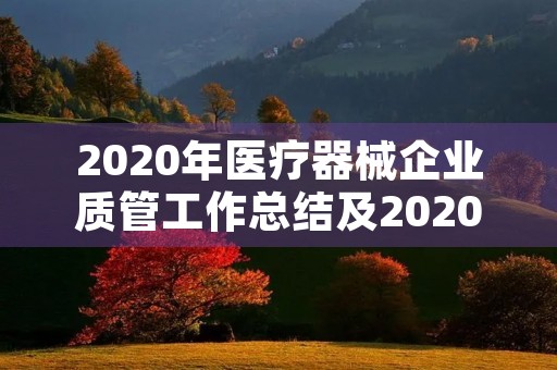 2020年医疗器械企业质管工作总结及2020年工作计划 2020年医疗器械企业质管工作总结及2020年工作计划