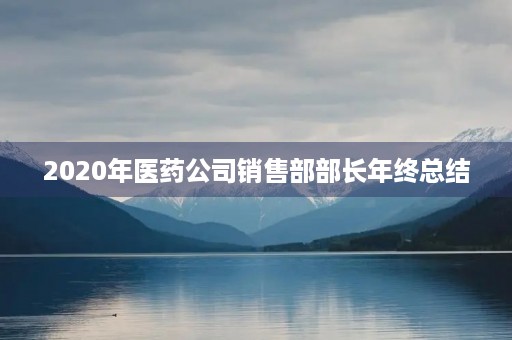 2020年医药公司销售部部长年终总结