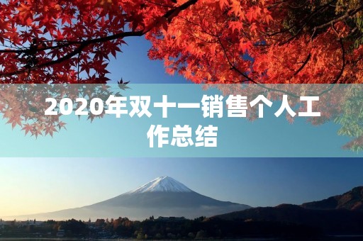 2020年双十一销售个人工作总结