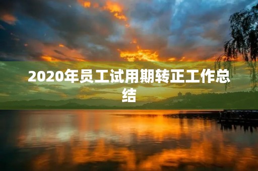 2020年员工试用期转正工作总结