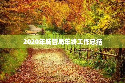 2020年城管局年终工作总结