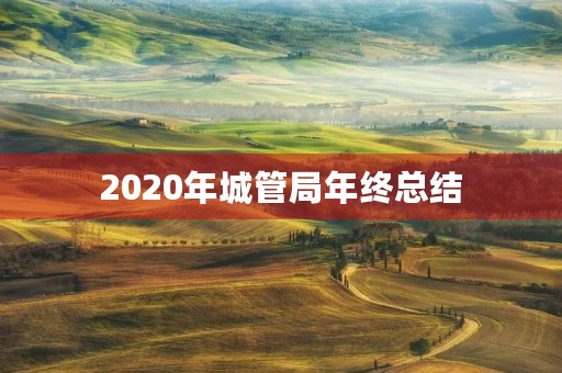 2020年城管局年终总结