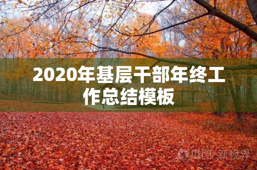 2020年基层干部年终工作总结模板