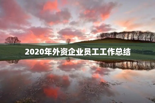 2020年外资企业员工工作总结