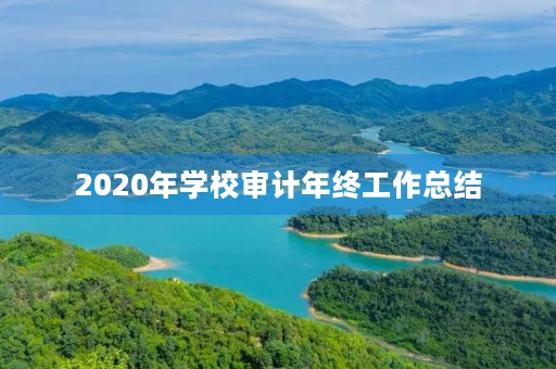 2020年学校审计年终工作总结
