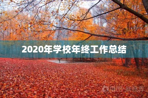 2020年学校年终工作总结