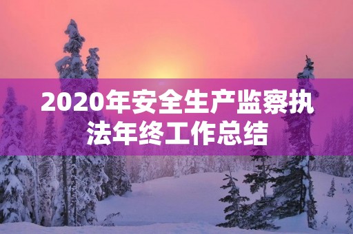 2020年安全生产监察执法年终工作总结