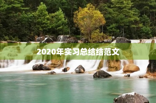 2020年实习总结结范文