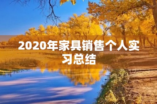 2020年家具销售个人实习总结