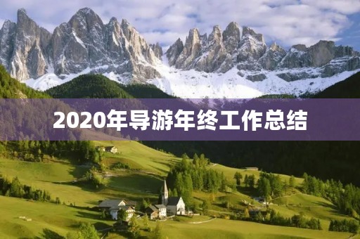 2020年导游年终工作总结