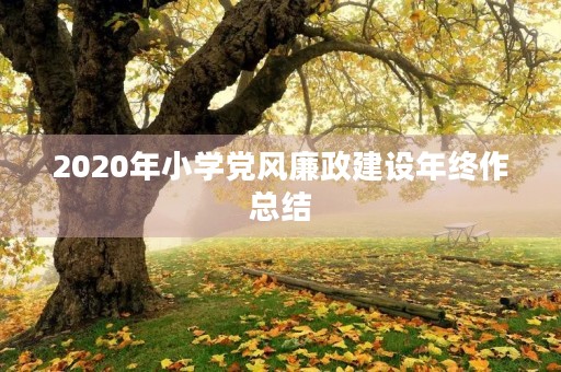 2020年小学党风廉政建设年终作总结