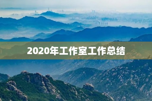 2020年工作室工作总结