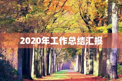 2020年工作总结汇报【700】字