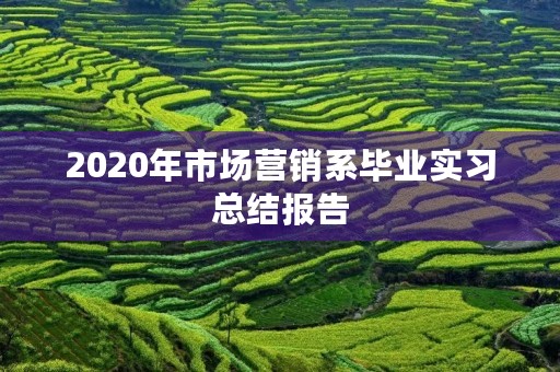 2020年市场营销系毕业实习总结报告