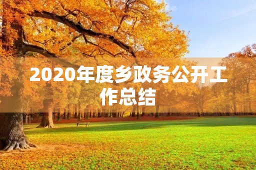 2020年度乡政务公开工作总结
