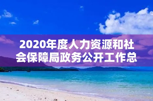 2020年度人力资源和社会保障局政务公开工作总结