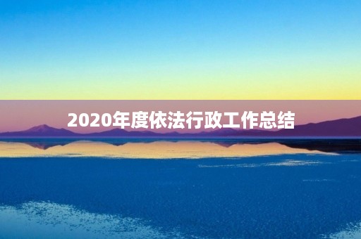 2020年度依法行政工作总结 2020年度依法行政工作总结