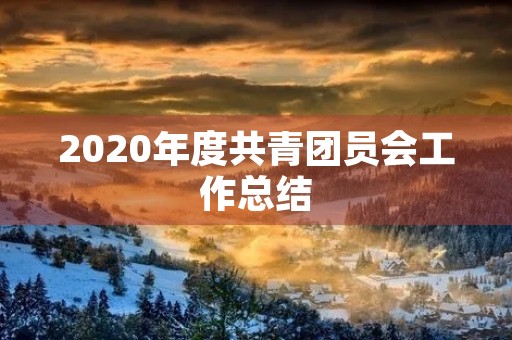 2020年度共青团员会工作总结