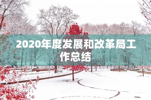 2020年度发展和改革局工作总结
