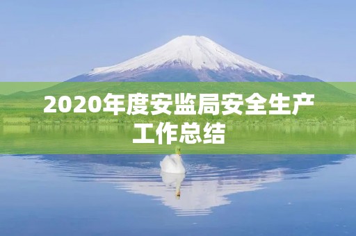 2020年度安监局安全生产工作总结