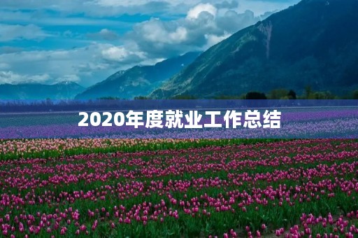 2020年度就业工作总结 2020年度就业工作总结