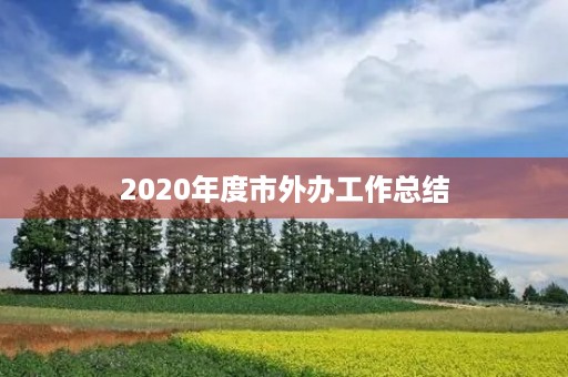 2020年度市外办工作总结