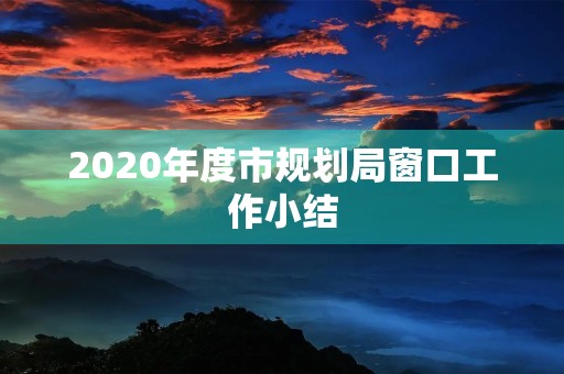 2020年度市规划局窗口工作小结