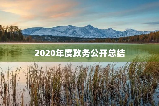 2020年度政务公开总结