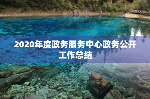 2020年度政务服务中心政务公开工作总结