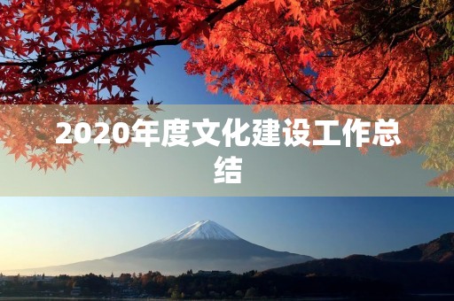 2020年度文化建设工作总结