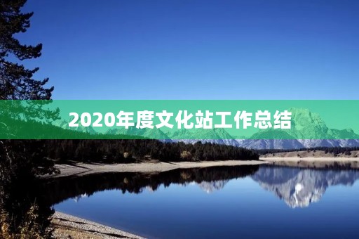 2020年度文化站工作总结
