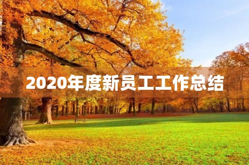 2020年度新员工工作总结