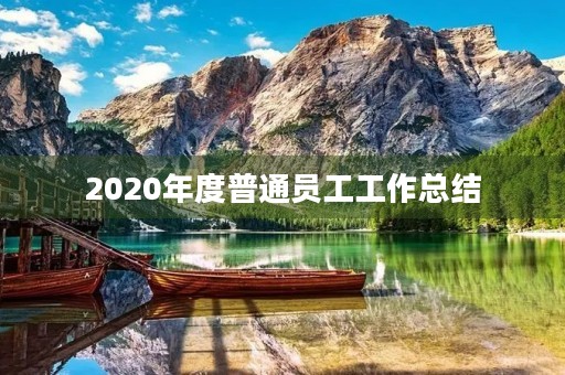 2020年度普通员工工作总结