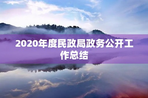 2020年度民政局政务公开工作总结