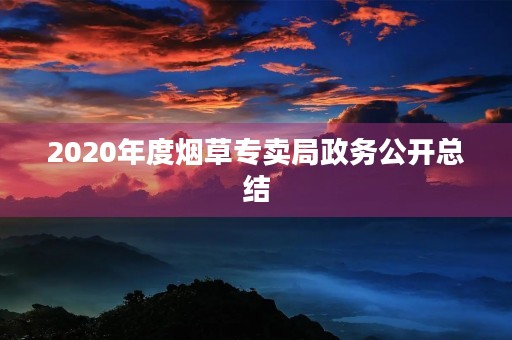 2020年度烟草专卖局政务公开总结
