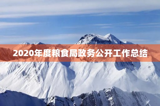 2020年度粮食局政务公开工作总结