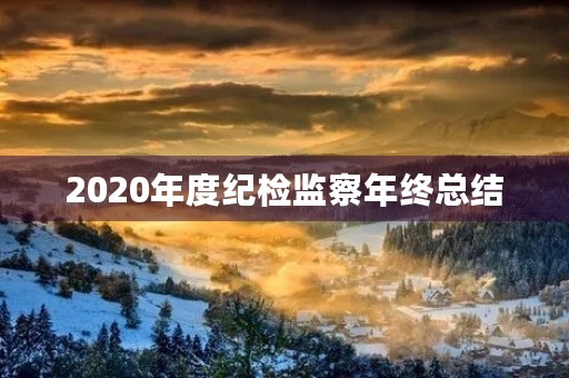 2020年度纪检监察年终总结
