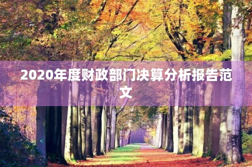 2020年度财政部门决算分析报告范文