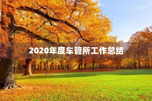 2020年度车管所工作总结