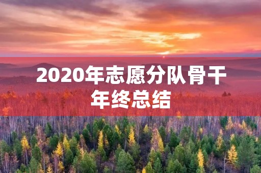 2020年志愿分队骨干年终总结